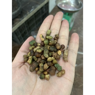 Hạt tam thất bắc sa pa . bổ máu, đẹp da, tiêu viêm...