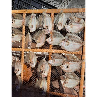 500gram- khô cá dảnh- đặc sản phan thiết