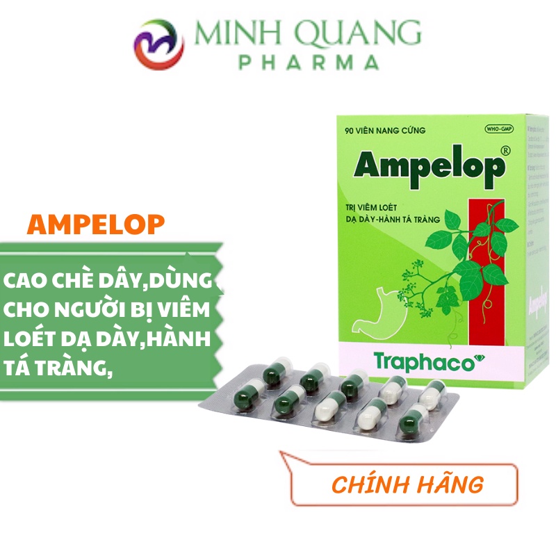 Ampelop hộp 90 viên. Cao chè dây hỗ trợ người bị đau dạ dày