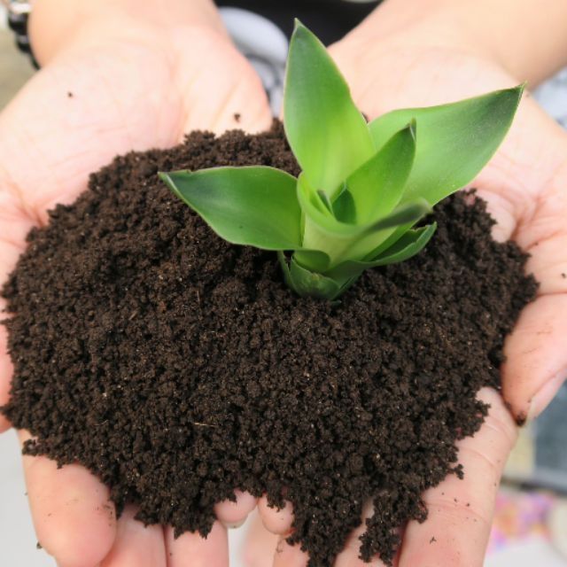 0.5kg phân trùn quế (500g) bón cây siêu tốt Worm fertilizer for flowers and ornamental plants