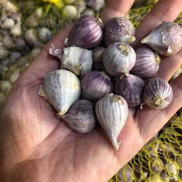 500gr tỏi cô đơn Sơn La