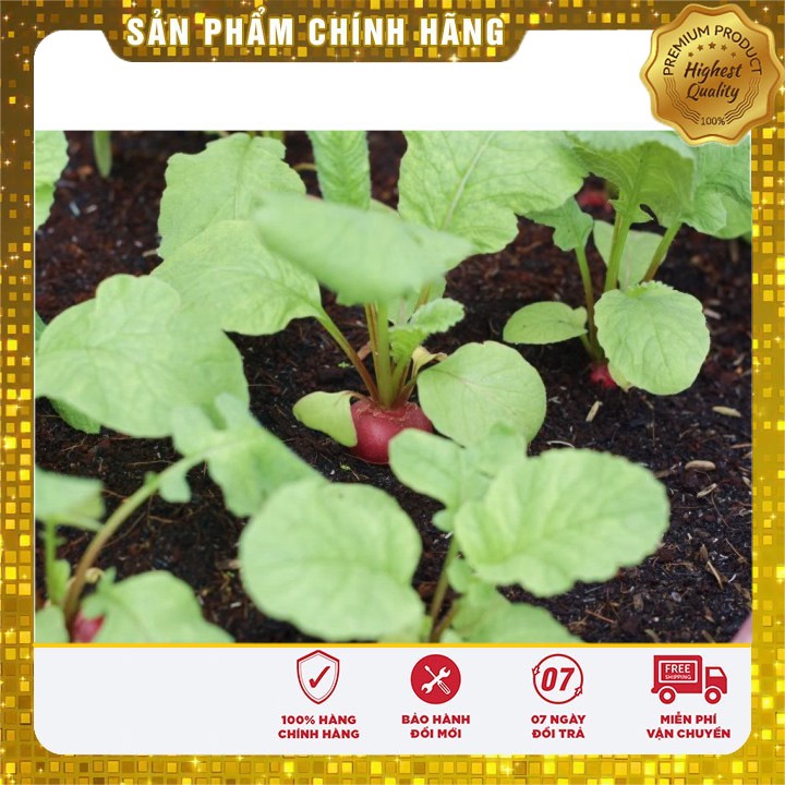 Hạt Giống Củ Cải Tròn Đỏ ( gói 5 gram)