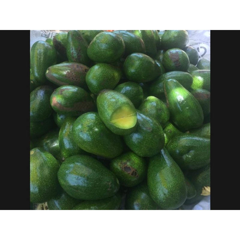 Trái bơ sáp (25.000/1kg)