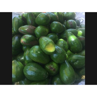 Trái bơ sáp (25.000/1kg)
