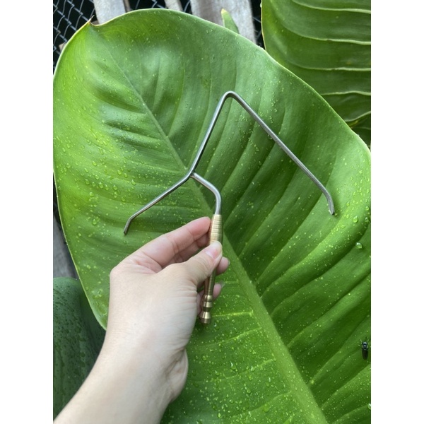 Móc trụ ty đồng bẩy cu gáy PILE khoan lỗ theo yêu cầu