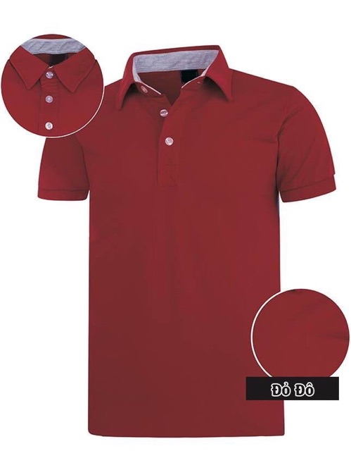 [Free ship] combo áo thun cá sấu nam ( ib chọn màu size ) | BigBuy360 - bigbuy360.vn