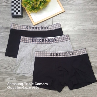 Quần sip đùi nam cotton cao cấp co giãn 4 chiều-quần lót nam đẹp