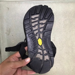 Chaco thằn lằn xỏ ngón