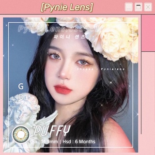 CÓ ĐỘ CẬN Kính áp tròng màu xám tây tây pha xanh ngọc bích | Pynilens ྀིྀི