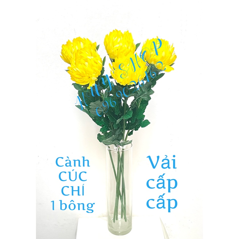 Cành Hoa CÚC CHỈ, Cúc Đại Đóa 1 Bông Vải cao cấp