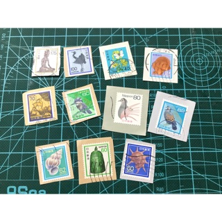 11 con tem chết Nhật Bản