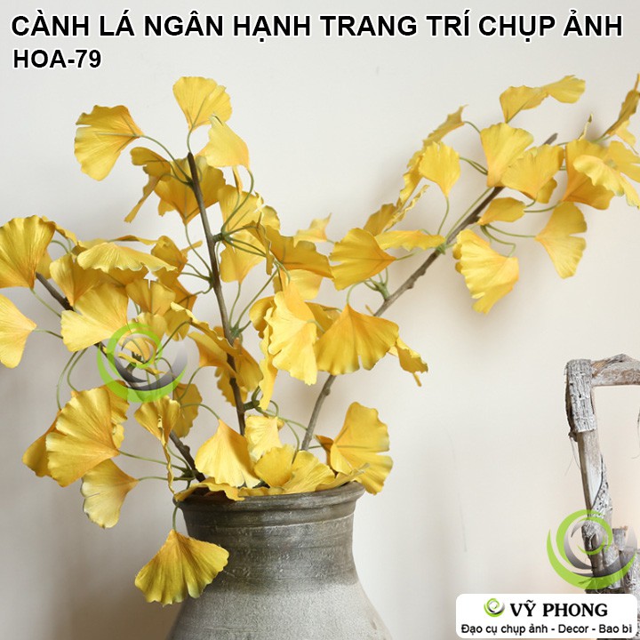 CÀNH LÁ NGÂN HẠNH RẼ QUẠT TRANG TRÍ ĐÁM CƯỚI ĐẠO CỤ CHỤP ẢNH SẢN PHẨM INS HOA-79