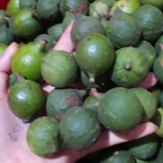 Combo c duyên