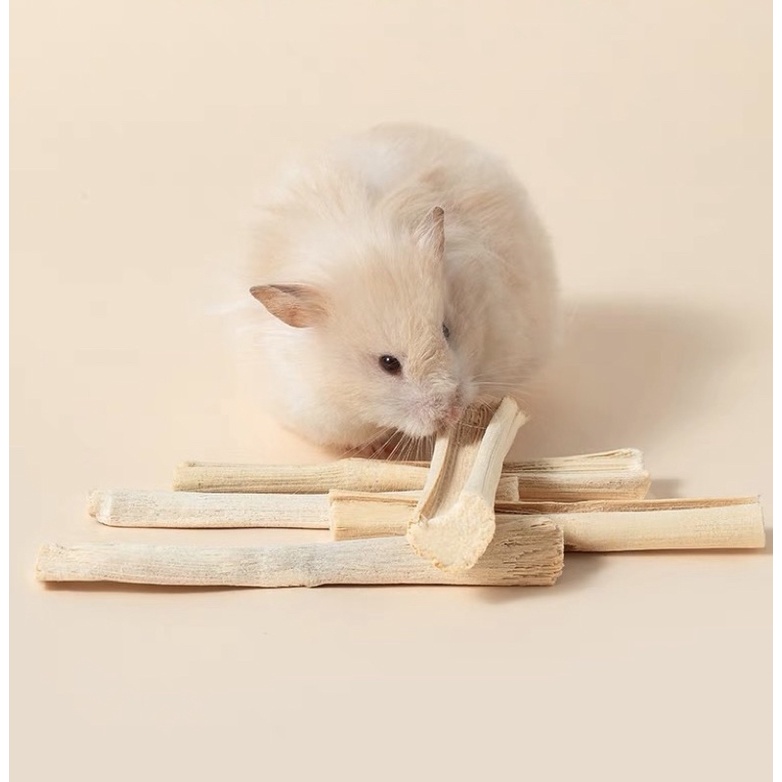 cành Mía mài răng Mr.Hay giúp răng trắng sáng và khỏe dành cho mọi loại thú cưng (thỏ, hamster, sóc, nhím, bọ,...)