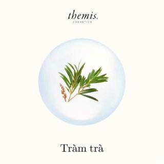 Sữa rửa mặt tinh chất tràm trà Themis