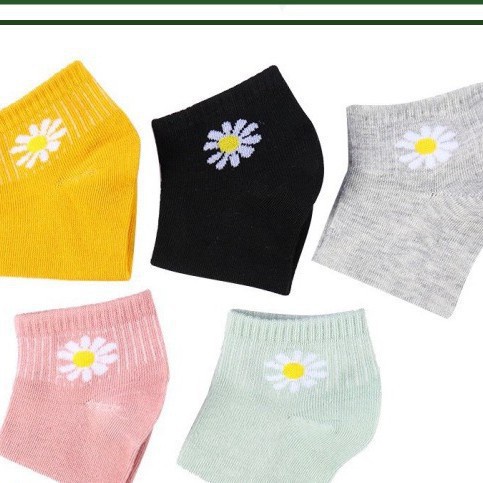 [Có Sỉ] Tất hoa cúc hot túi hoa cúc 10 đôi/túi