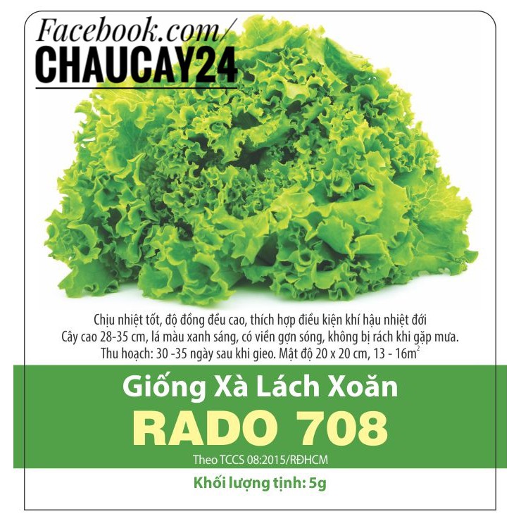 Hạt giống Xà Lách Xoăn (5g) sinh trưởng tốt, Chịu Nhiệt Dễ Trồng