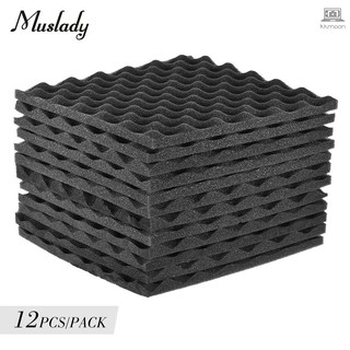 Bộ 12 miếng xốp cách âm 30 * 30cm/ 12 * 12 in cho phòng thu âm
