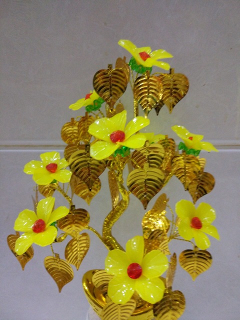 Lá đồng tiền ( 1 gói 100 gram)