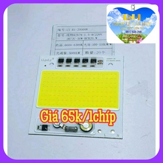 Chíp led 50w - 220v - 8 * 8cm sáng vàng