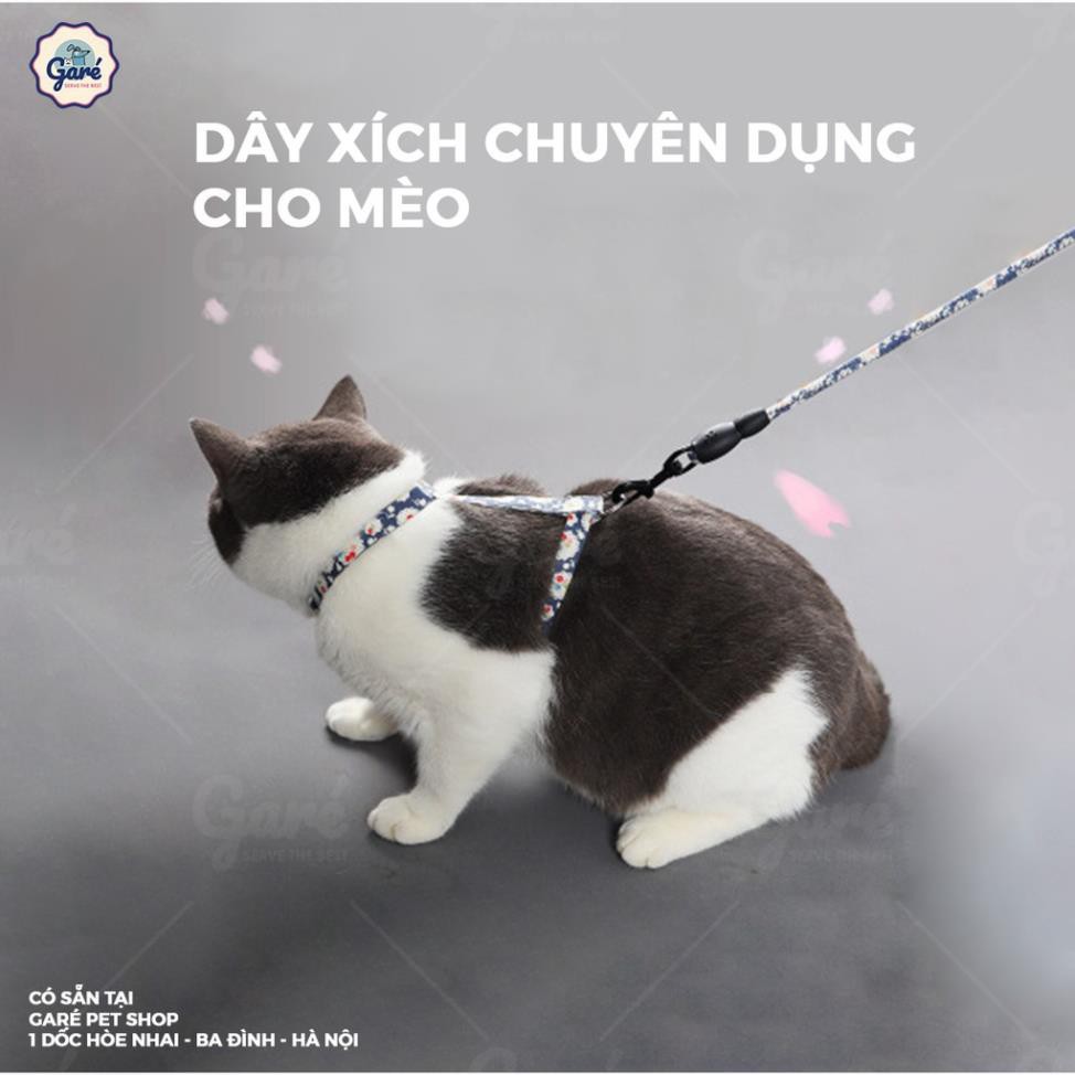 ✲✮❀✪✫☼❉❉✿✽❀ Xích chuyên dụng cho Mèo&Chó nhỏ ✻❈✺❃✬۞❊❆✽☼❉