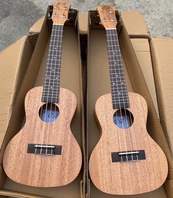 Đàn ukulele concert Size 23 giá rẻ - cao 62cm