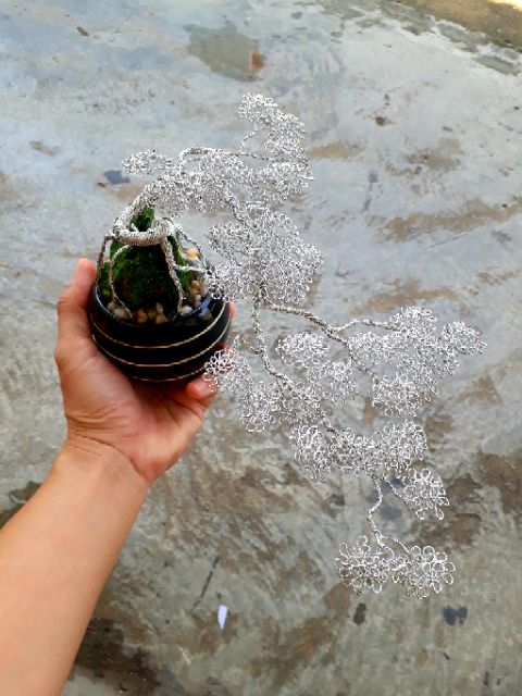 Cây bonsai kẽm bọc bạc vĩnh cửu.