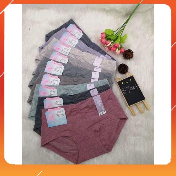 Quần lót nữ cotton đũi cao cấp kháng khuẩn nhẹ nhàng mềm mại thấm hút mồ hôi nhún cạp Q2108