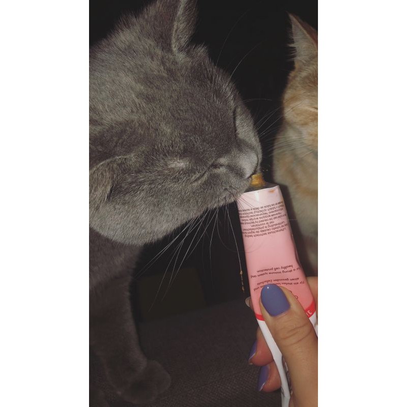 [𝐆𝐢𝐚́ 𝐡𝐮𝐲̉ 𝐝𝐢𝐞̣̂𝐭] Gimcat Gel Multi-vitamin phát triển toàn diện 200gr