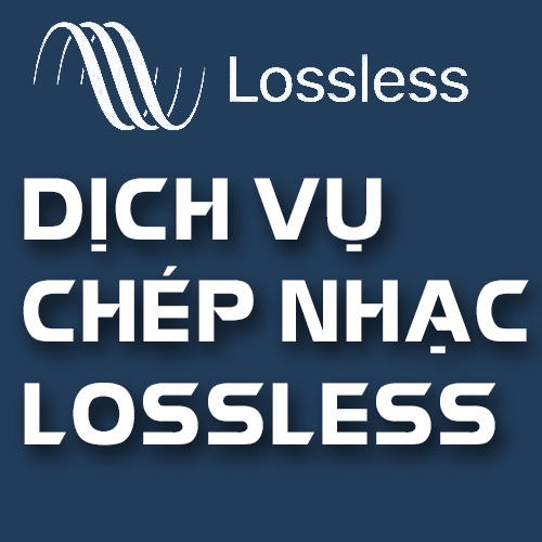 Chép nhạc chất lượng cao (nhạc lossless) - Bán kèm thiết bị lưu trữ USB - Ổ Cứng tốc độ cao