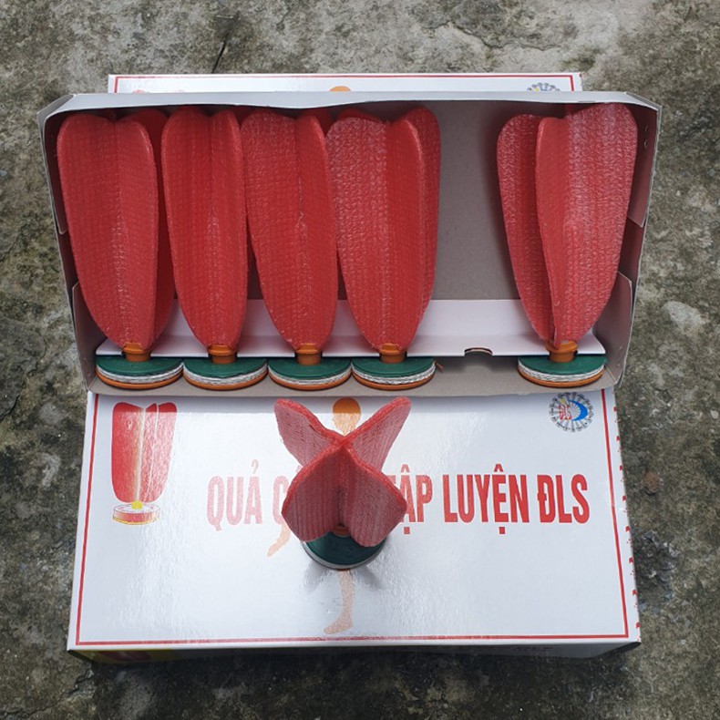 QUẢ CẦU ĐÁ TẬP LUYỆN ĐLS - HÀNG VIỆT NAM CHẤT LƯỢNG CAO