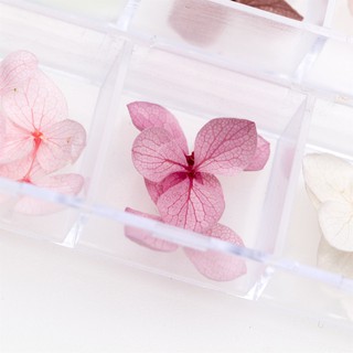 Hoa khô ẩn gel khay dài