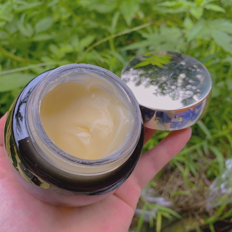 Bộ đôi chăm sóc da ngày đêm BOSE cao cấp