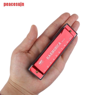1 Kèn Harmonica 10 Lỗ Dành Cho Người Mới Bắt Đầu