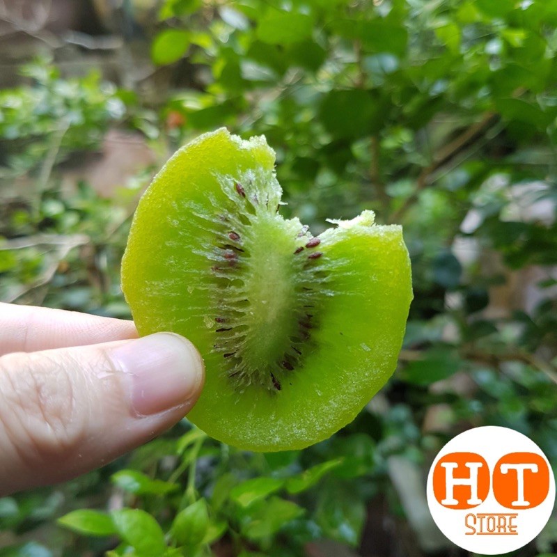 0,5 kg Mứt kiwi xanh sấy dẻo chua ngọt