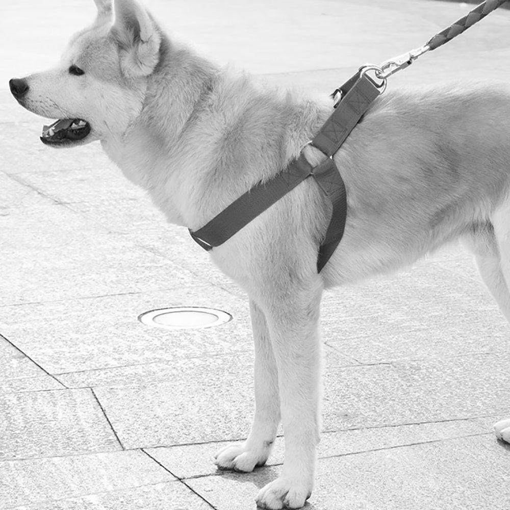 [COD] Dây Dắt Thú Cưng Đi Dạo Mềm Mại Nhiều Kích Cỡ Tùy Chỉnh Tiện Dụng