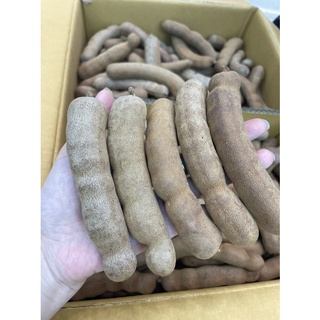 ME DỐT THÁI