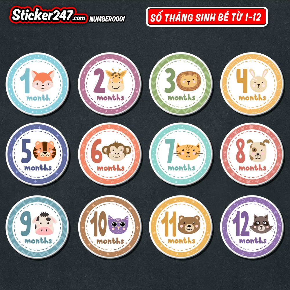 𝑭𝒓𝒆𝒆𝒔𝒉𝒊𝒑 [𝐒𝐞𝐭 𝟭𝟮 𝐒𝐭𝐢𝐜𝐤𝐞𝐫] Hình dán trang trí từ số 1 đến 12 để trang trí thiệp, album, lưu bút cho bé - sticker 247
