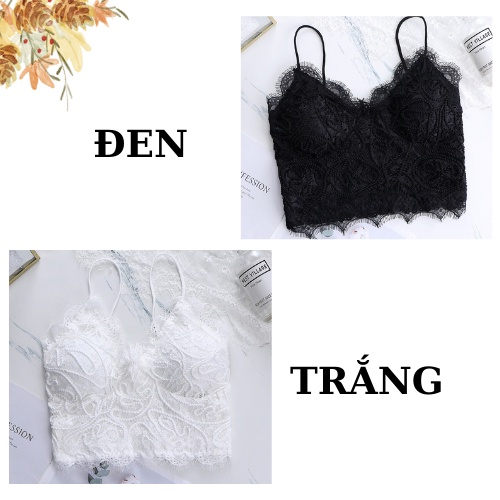 Áo Bra 2 Dây Ren Cao Cấp - Áo Ngực Không Gọng - Bra Nữ Mút Mỏng Quyến Rũ AMYBRA B379