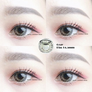 kính áp tròng - gray dãn 14.5