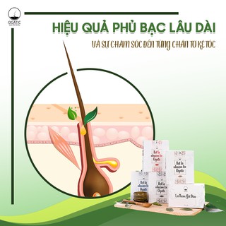 1 GÓI LÁ THƠM GỘI ĐẦU