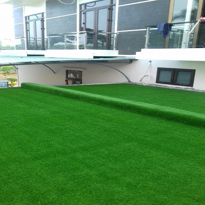 Thảm cỏ nhân tạo lót sàn 2cm- combo 5m (2x2.5)m