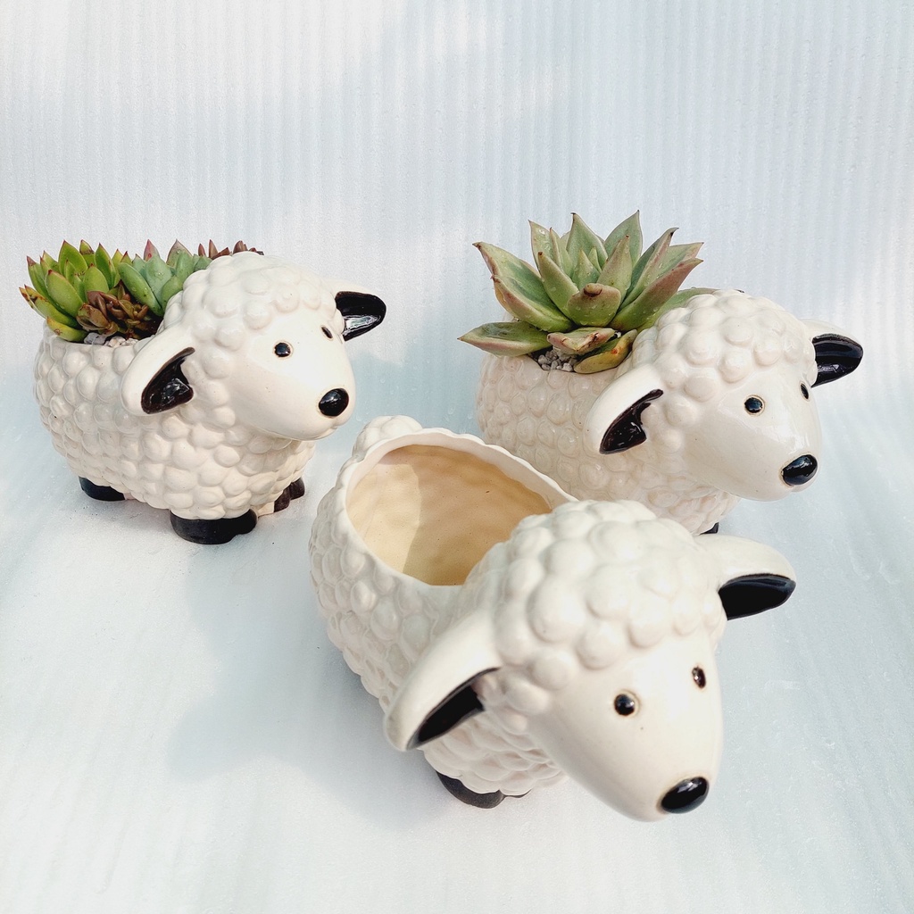 Chậu men, Chậu sen đá - Chú cừu mĩm cười, miệng chậu (dọc 10cm, ngang 9cm), chiều cao 11cm và 17cm