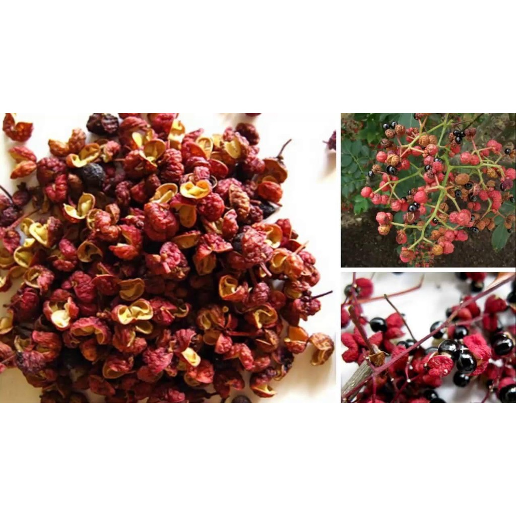 Hoa Xuyên Tiêu Tứ Xuyên đỏ-Szechuan Pepper không trộn cành