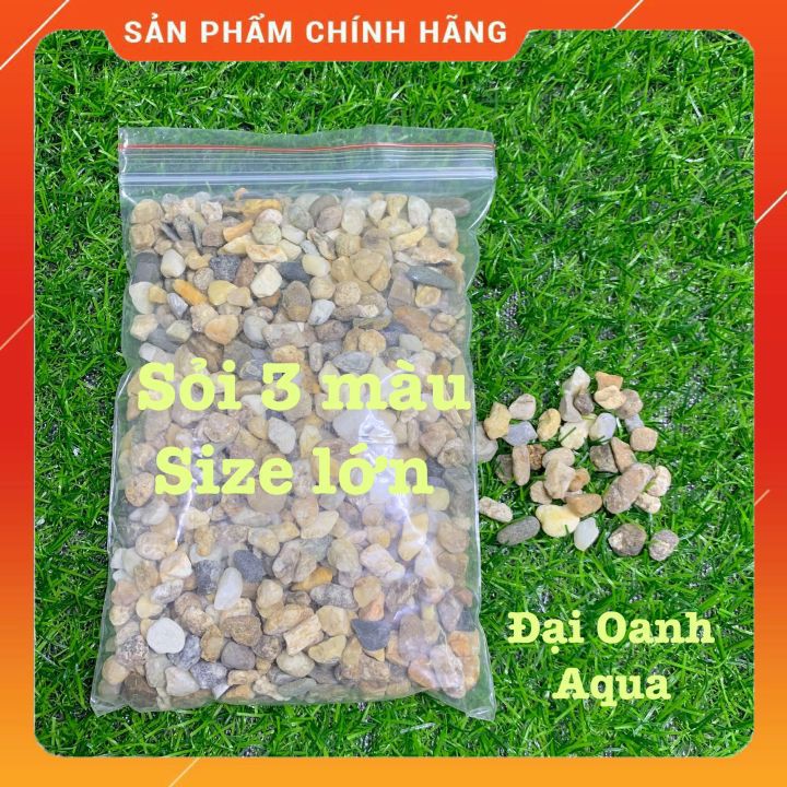 500gr Sỏi 3 màu size to trang trí bể cá thuỷ sinh-Trải nền bể cá