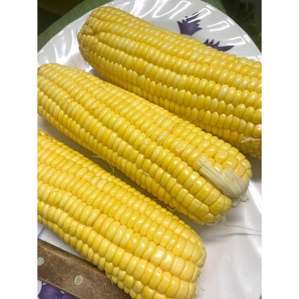 Bắp mỹ 1 trâi
