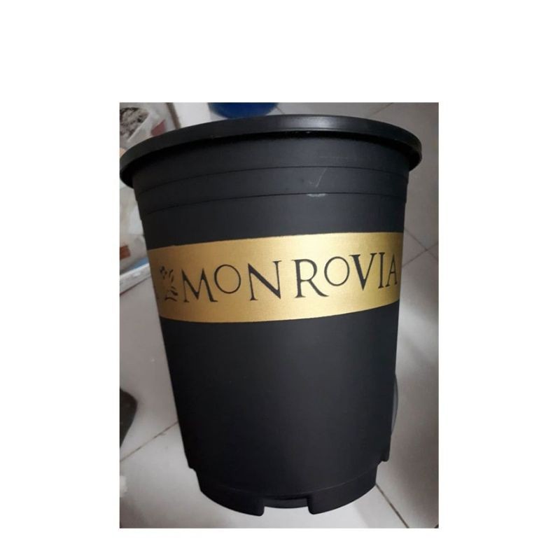 Chậu nhựa trồng cây Monrovia 1GAL (chậu 1 gallon)