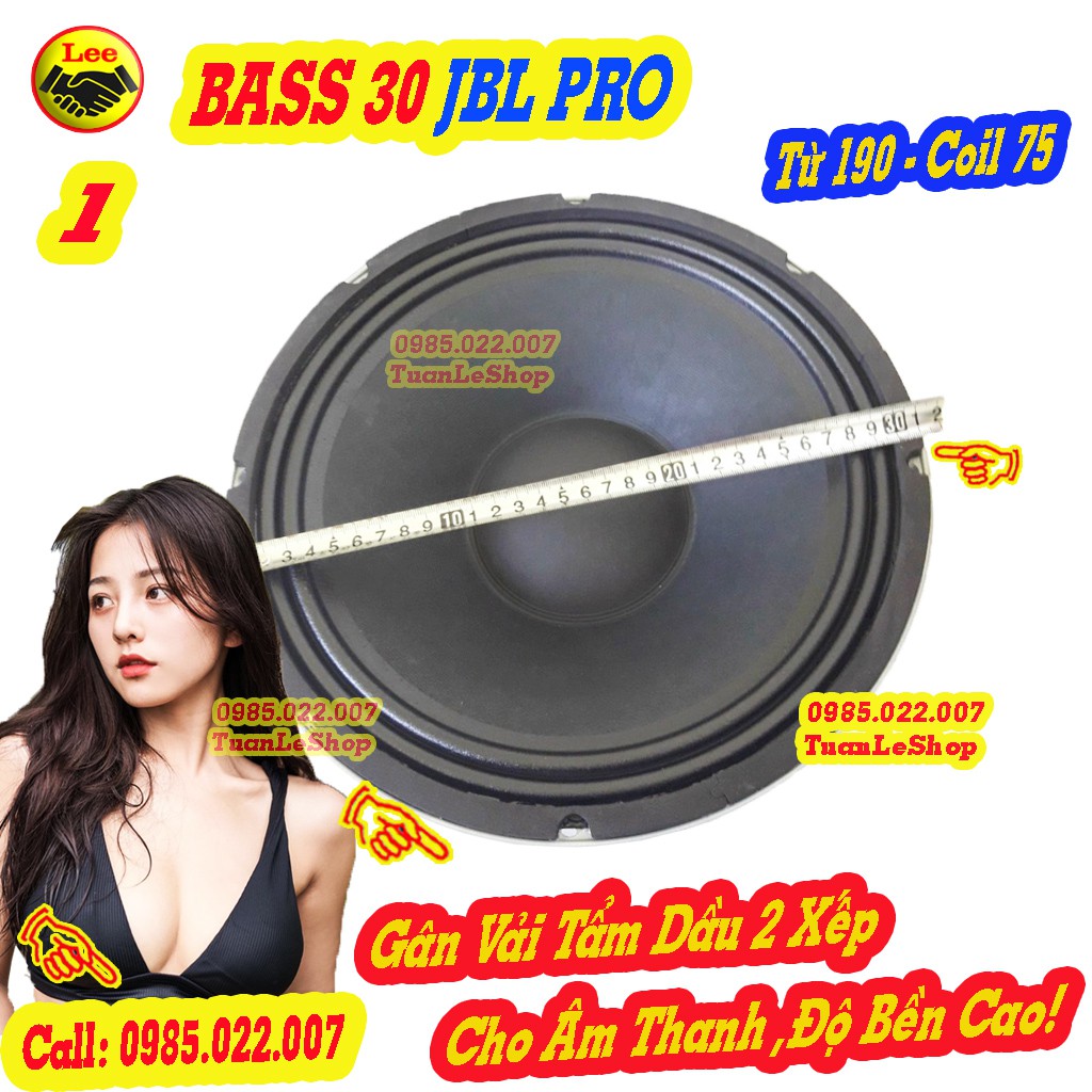 BASS 30 J B L Từ 190 CÔN 75 HÀNG NHẬP KHẨU- GIÁ 02 LOA – BASS 3 TẤC