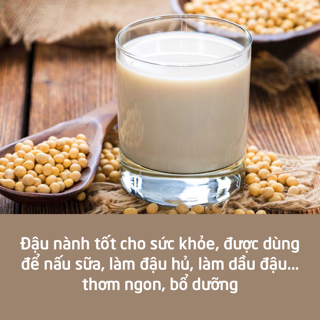 1Kg Đậu Nành Không Biến Đổi Gen Sạch Thuần Chủng  🌱 Hani Healthy Food