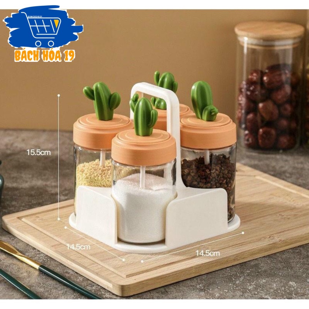 BỘ 4 Lọ đựng gia vị thủy tinh xương rồng cao cấp, hũ bột canh kèm muỗng thìa đẹp-ảnh thật